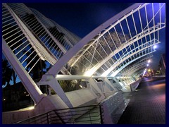 City of Arts and Sciences by night 30 - L'Umbracle